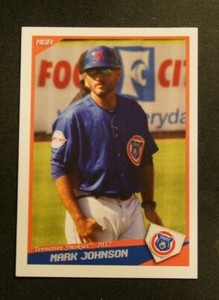 2017 Grandstand, Tennessee Smokies, Manager - MARK JOHNSON