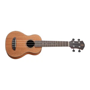 Anuenue Makani 1E Soprano Natural Finish Ukulele - Picture 1 of 4
