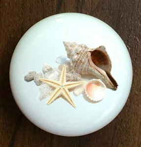 OCEAN SEASHELL STARFISH SHELLS WHITE CERAMIC KITCHEN CABINET DRESSER KNOB DECOR - Picture 1 of 1