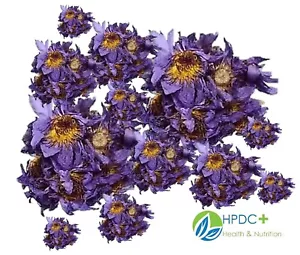 Dried BLUE LOTUS Nymphaea Caerulea Organic Herbal Flowers - Picture 1 of 3