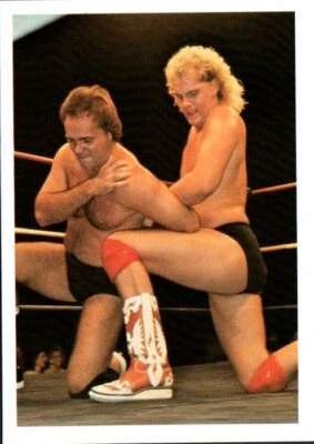 1988 Wonderama NWA Wrestling Card #81 Kendall Windham vs. Larry Zbyszko  - Image 1 of 2