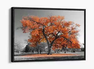 ORANGENBAUM, SCHWARZ & WEISSER HINTERGRUND - SCHWEBENEFFEKT GERAHMTER LEINWANDKUNSTDRUCK - Bild 1 von 12