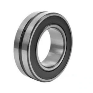 FAG (Schaeffler) WS22209-E1-XL-2RSR Double-Sealed Spherical Roller Bearing - Picture 1 of 1