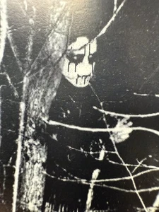 1997 APOLOKIA FIELDS OF HATEFROST DEMO BLACK METAL UNDERGROUND ITALY - Picture 1 of 6