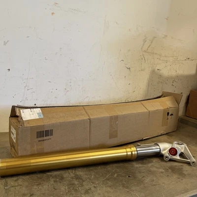 Horquilla delantera derecha BMW S1000RR 2009-2014 NUEVO OEM 31427729172 Foto 1 de 4