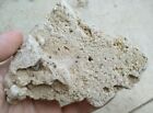 Very Big Flat Beach Natural Pebble Round Stone Rock From Israel