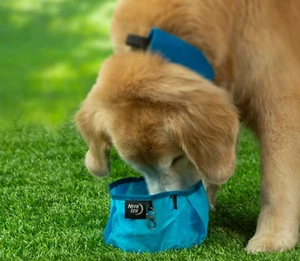RadDog Collapsible Bowl Blue - Picture 1 of 4