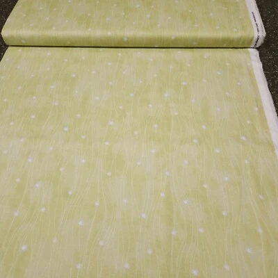 Caleidoscopio Cachemira por P&B Textiles Tonal Blanco Suave Verde Floral Rayas Foto 1 de 3