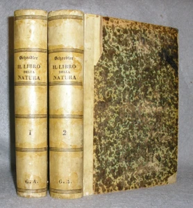 Antique Natural History Books Science Astronomy Paleontology Moon Star Maps 1870 - Picture 1 of 24