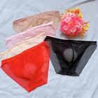 Sexy Sheer Mesh Panties for Men with All Seasons Wear and See through Design