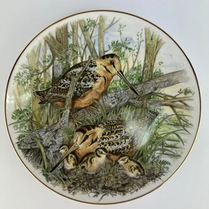 Vintage 1982 Spiel Vögel südamerikanischer Waldschnepfe Teller Southern Living signiert 8,5 Zoll - Bild 1 von 3