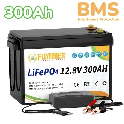Batería de litio 12V 300Ah LiFePO4 BMS 15000+ bicicleta profunda casa autocaravana fuera de la red Foto 1 de 4