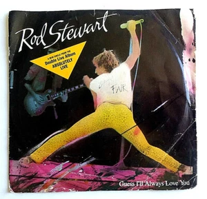 ROD STEWART -Guess I'll Always Love You 1982  Warner Bros  45 RPM PIC SLEEVE - Imagen 1 de 4