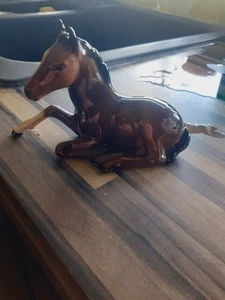 Beswich Fohlen liegend - Bild 1 von 4