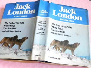 JACK LONDON Illustrated by Jack London cop 1980 HC/DJ Crown Publishers 761 pgs - Picture 1 of 12