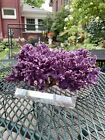 1960s Purple Coral Allopora Specimen Mounted on Lucite Base 5" x 11" x 9"