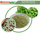 Fresh Powder  Coriander / Cilantro / Chinese Parsley (Coriandrum Sativum)