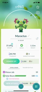 Pokemon TRADE - Maractus Trade!! Handel am selben Tag oder garantiert am nächsten Tag! - Bild 1 von 1