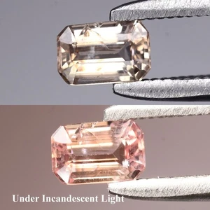 💎 0,33ct VS Achteck natürlicher Farbwechsel Granat - unbeheizt, Malawi Edelstein - Bild 1 von 6