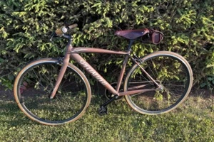 Specialized Langster mit Freilauf RH 49 - Bild 1 von 5
