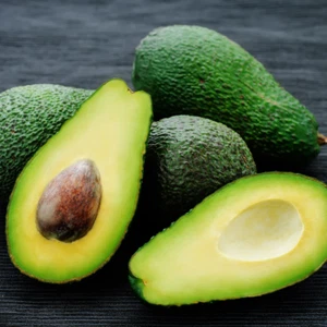 BeauFlora Hybrid Avocado ( Sharwill , Graft ) Exotic 1 Bare-Root Plant - Picture 1 of 2