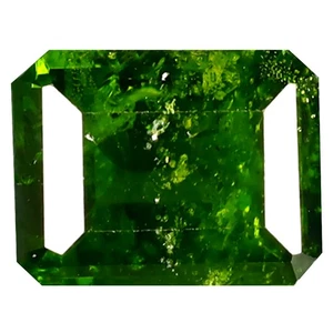 2,77 ct Achteck (9,14 x 7,11 mm) unbeheizt natur grün Chromdiopsid - Bild 1 von 1