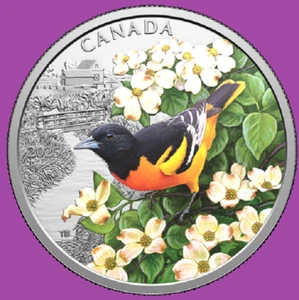 2025 Canada Colorful Birds Baltimore Oriole Proof Silver $20 Coin Mint Set UNC - Picture 1 of 2