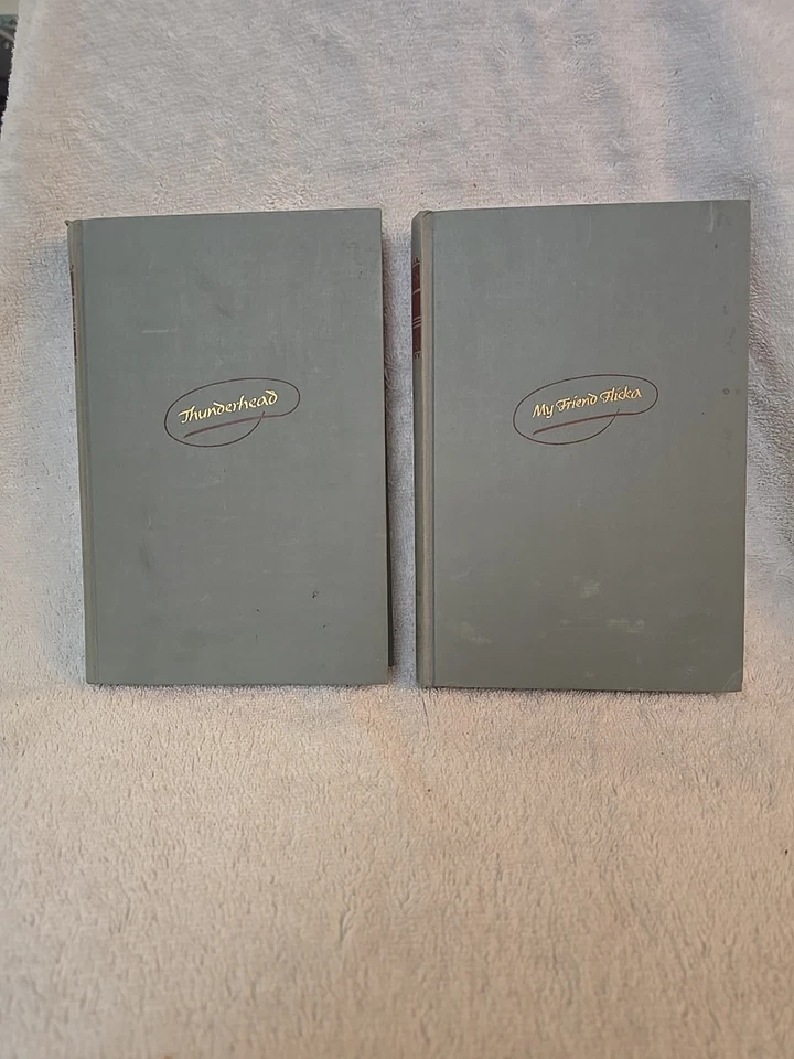 Vintage My Friend Flicka 1941 & Thunderhead 1943 By Mary O Hara 1st Editions Set Foto 1 de 4