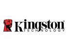 Kingston SDR2V6/128GB  Canvas React Plus - Flash memory card