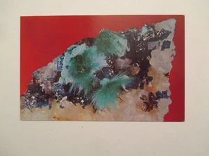 Postcard Linarite Malachite Flurite & Quartz Bingham New Mexico Mineral Rock #3 - Picture 1 of 2