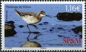 Saint Pierre and Miquelon 2023. Wilson's Phalarope (MNH OG **) Stamp - Picture 1 of 1
