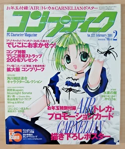 Comptiq magazine (2/Feb 2001) Japanese PC games/anime, Di Gi Charat, Carnelian - Picture 1 of 7