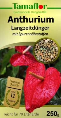 TAMAFLOR Dünger Anthurium Flamingoblume Pflanzen Dauerdünger wirkt 12 Monate Profi