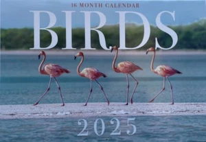 2025 A4 Wall Calendar 16 Months Calendar BIRDS - Picture 1 of 2