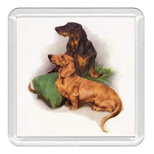 Dachshund Dogs Dog Acrylic Coaster Novelty Drink Cup Mat Great Gift - Picture 1 of 1
