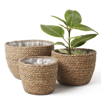 La Jolíe Muse Seagrass Planter Basket Indoor, Flower Pots Cover, Plant Cont - Image 1 of 4