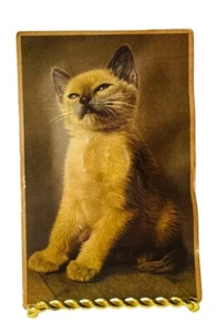 SIAMÉS GATITO CHIRRIDO POSTAL ALFRED MAINZER BELGIA ROTA GRAN PÁTINA DE COLECCIÓN - Imagen 1 de 13