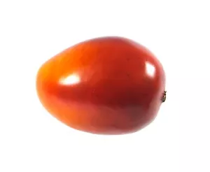 Mango Artificiale Grande Plastica Frutta Oblunga Mango Rosso Finto - Foto 1 di 3