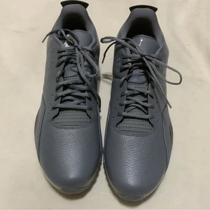 NEW Jordan ADG 3 Cool Grey Golf Shoes Men’s Size 15 CW7242-003 - Picture 1 of 6