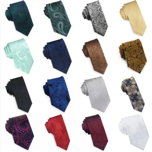 Men's Paisley Tie | Textured Slim-Width Mens Tie . Necktie Choose Colour - Picture 1 of 15