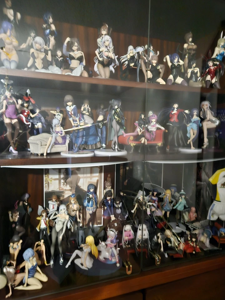 Auflösung  von Anime Figuren Sammlung / Lieferung oder Zustellung möglich... - Bild 1 von 4