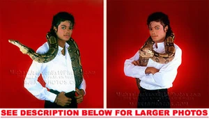 MICHAEL JACKSON 1985 SNAKE CHARMER (2) RARE 8x10 PHOTOS - Picture 1 of 1