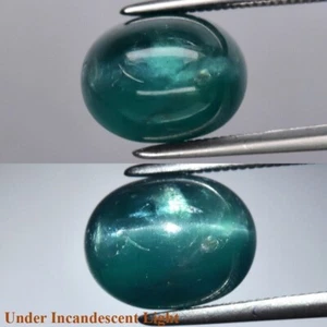Apatite vert de glace en cabochon ovale effet oeil de chat de 4.55Cts - Photo 1/3