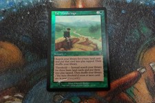 MTG - 1 x FOIL Far Wanderings - EX Condition - Torment
