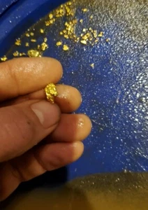 Concentrati Tamburo Paydirt Oro GARANTITO + Materiale Panoramico Non Ricercato - Foto 1 di 12