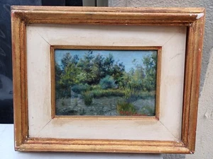 UGO GHEDUZZI OLIO SU TAVOLA QUADRO PAESAGGIO BOSCO 32X 40 CM ALBERO CESPUGLIO - Foto 1 di 6