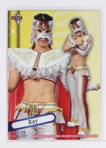 Ray - 2015 BBM Women's Pro-Wrestling Trading Card - Bild 1 von 3