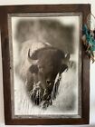Willie Holdman Park City Gallery “Buffalo Stare Down” 2/300 Free Shipping!