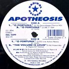 Apotheosis- O Fortuna 1992 HAL-12299 Vinyl 12'' Vintage