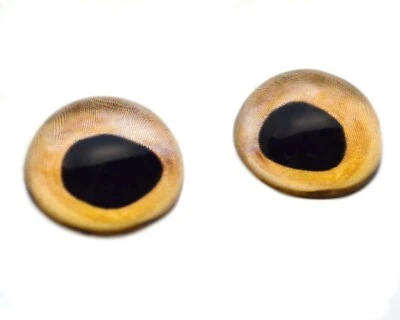 Par de ojos de vidrio de media esfera de pez tostado beige cúpula alta para arte de joyería de taxidermia Foto 1 de 4